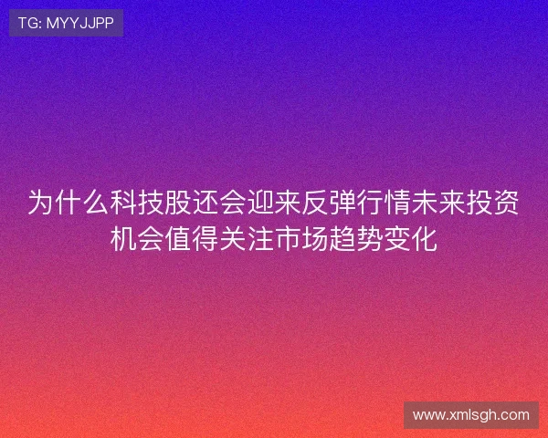 为什么科技股还会迎来反弹行情未来投资机会值得关注市场趋势变化